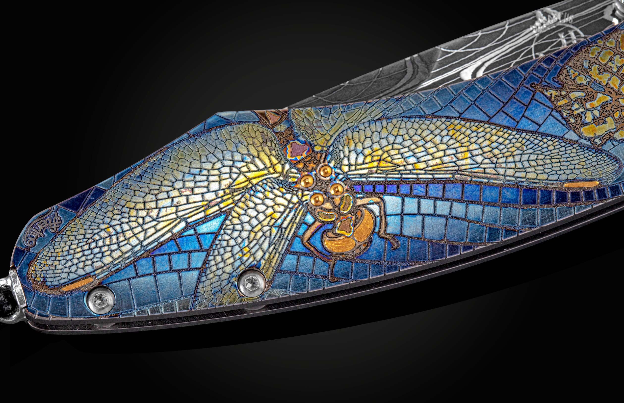B12 Dragonfly II - Image 4