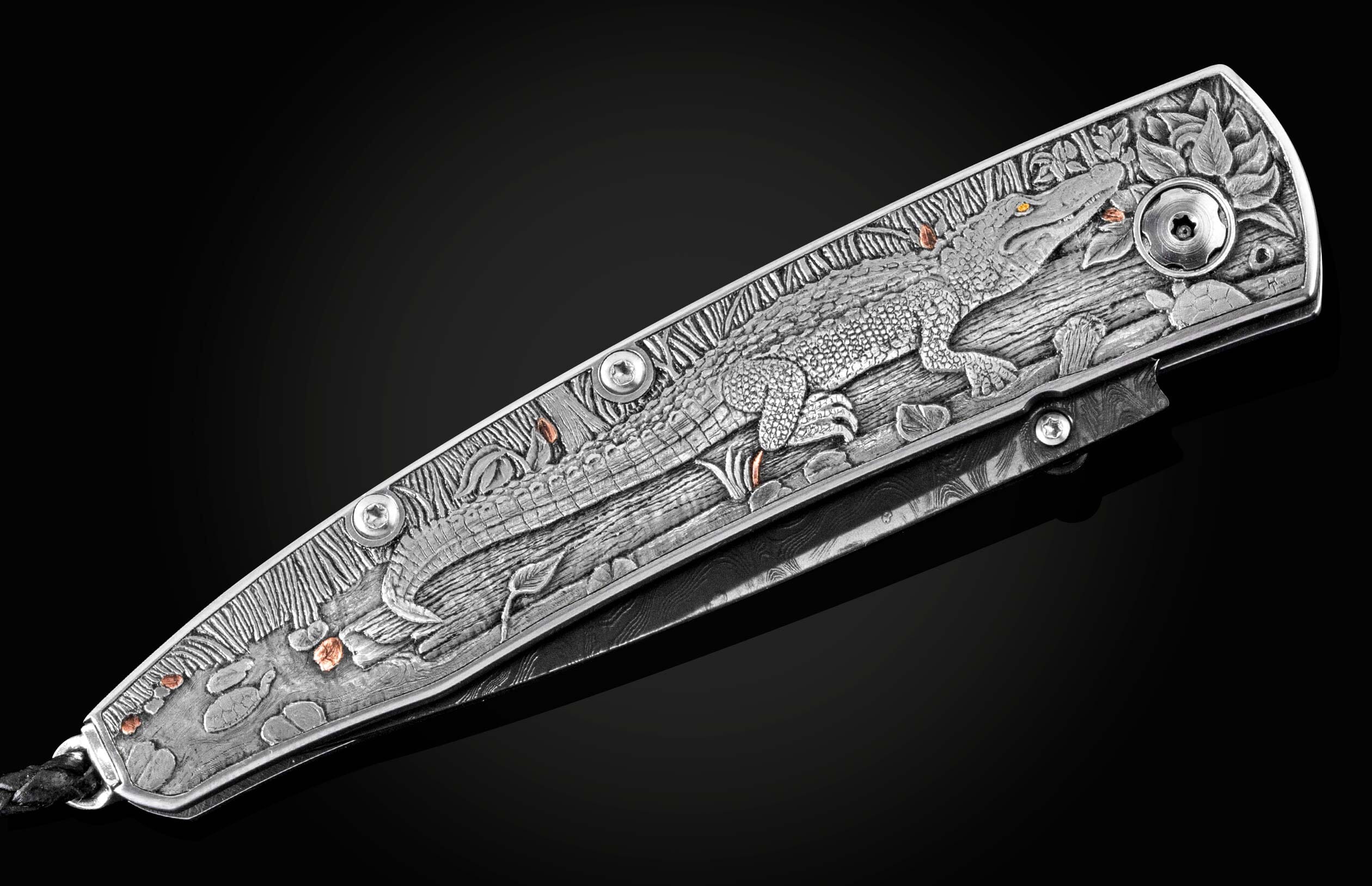 B10 Gator - Image 2