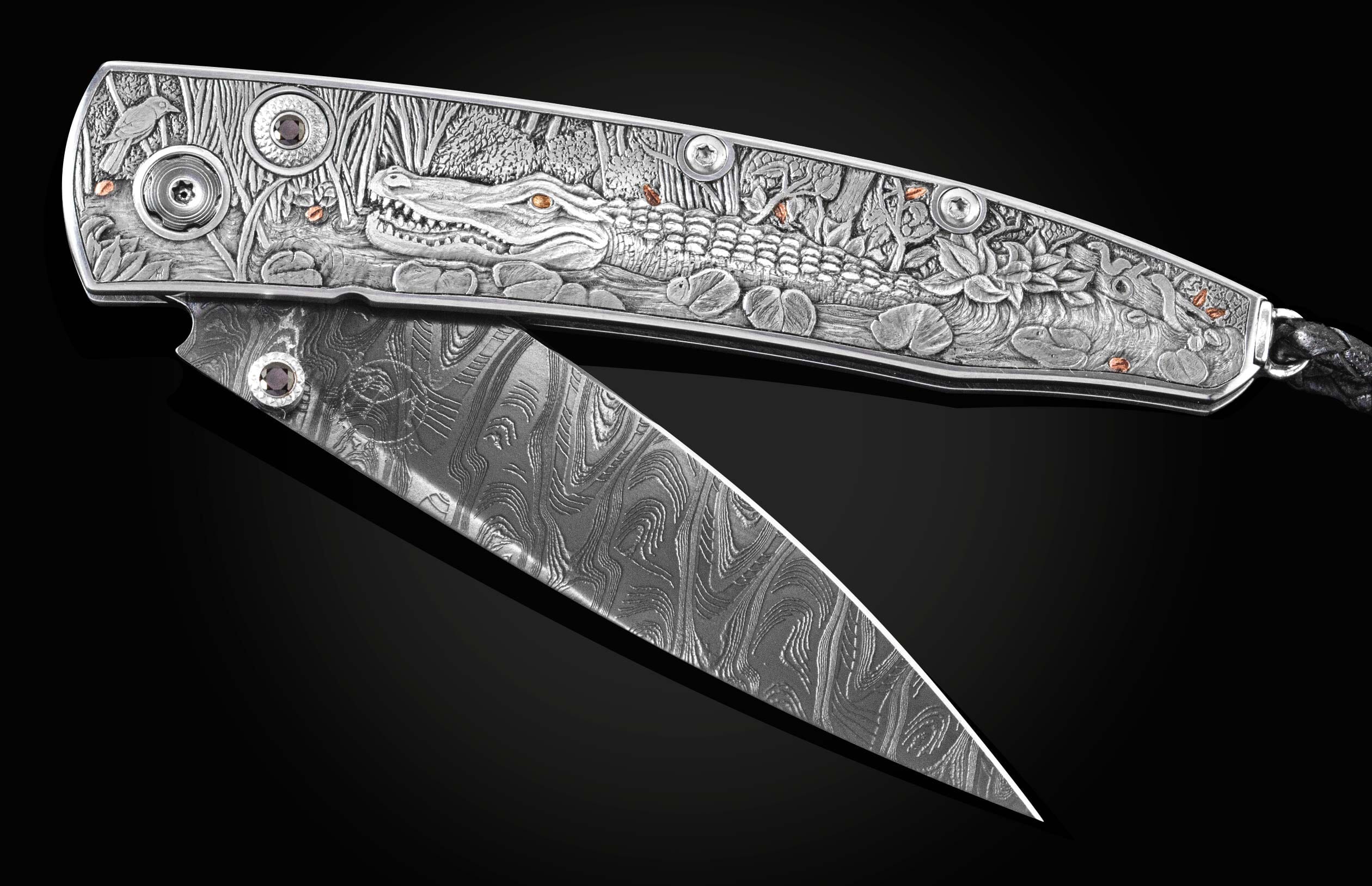B10 Gator - Image 5