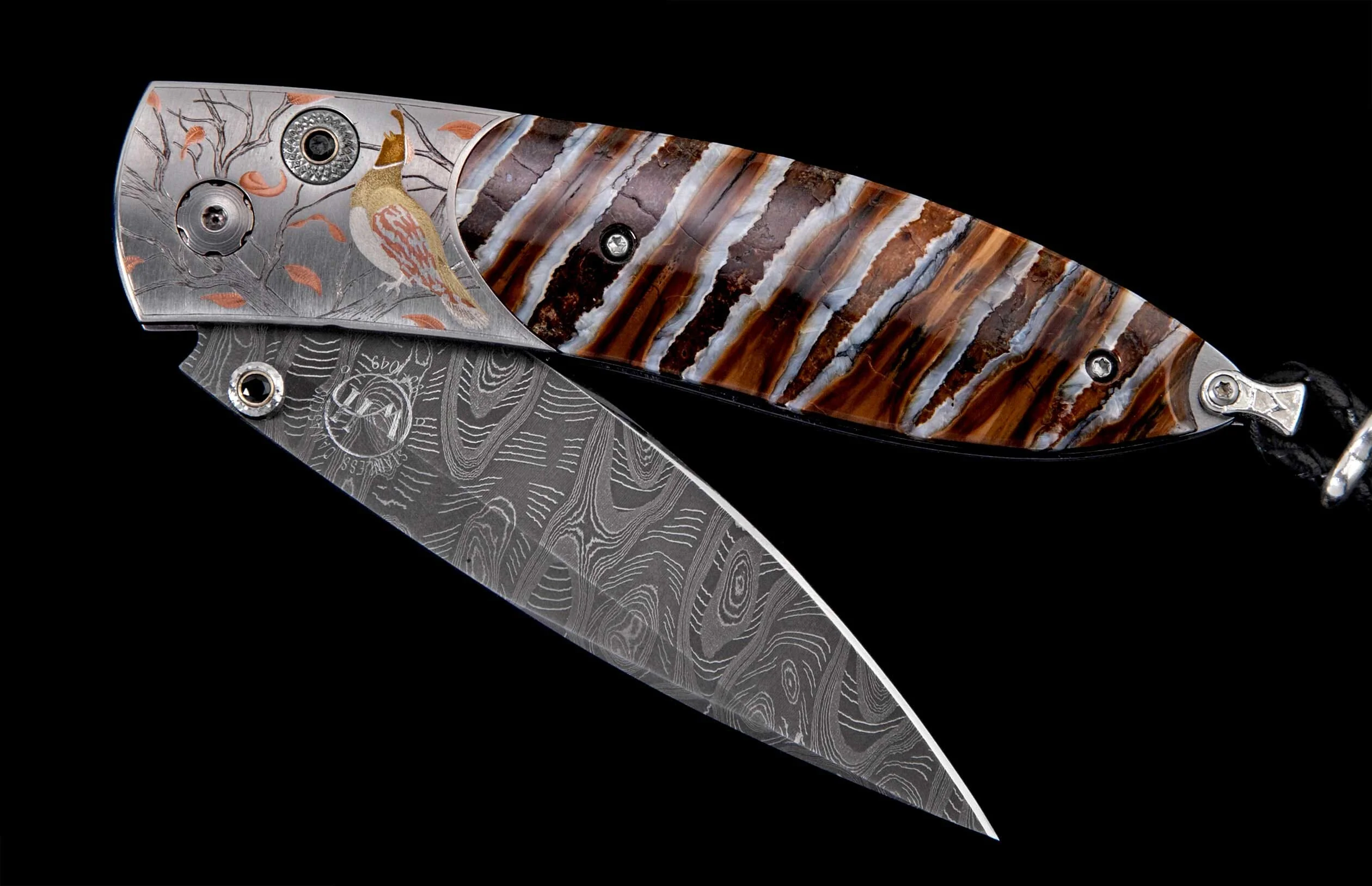 B05 Quail