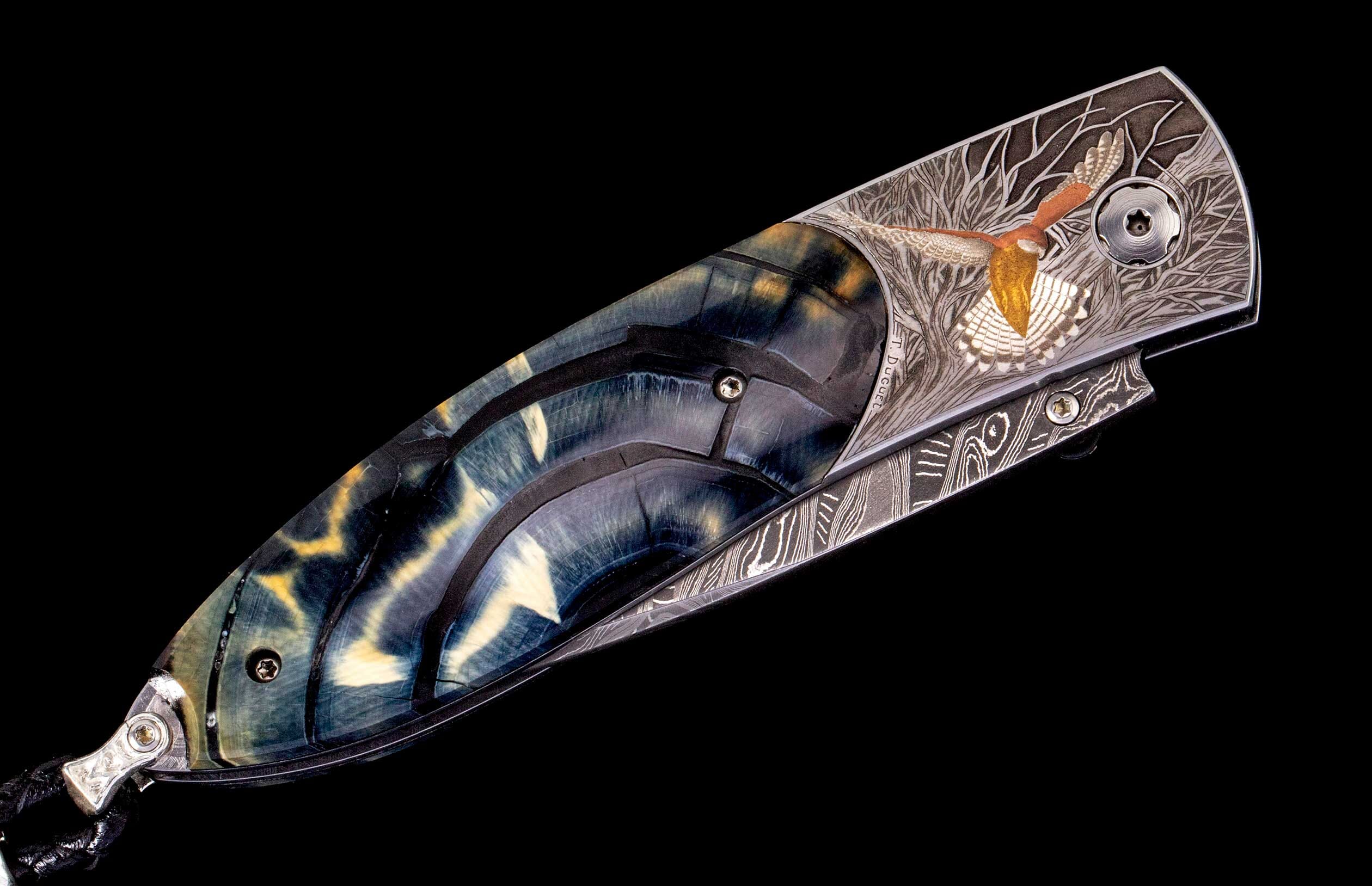 B05 Sparrow Hawk - Image 3