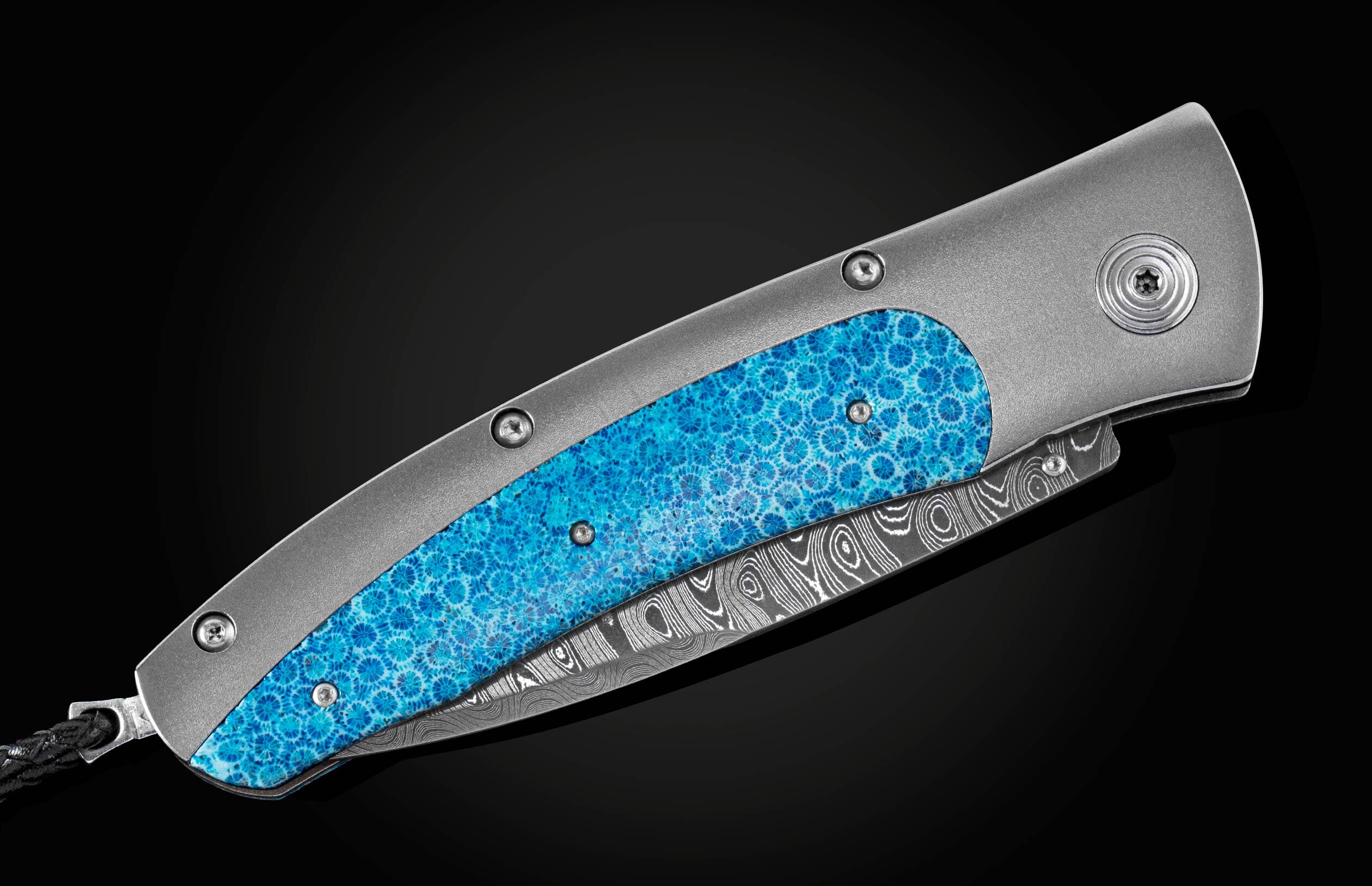 C15 Blue Coral - Image 3