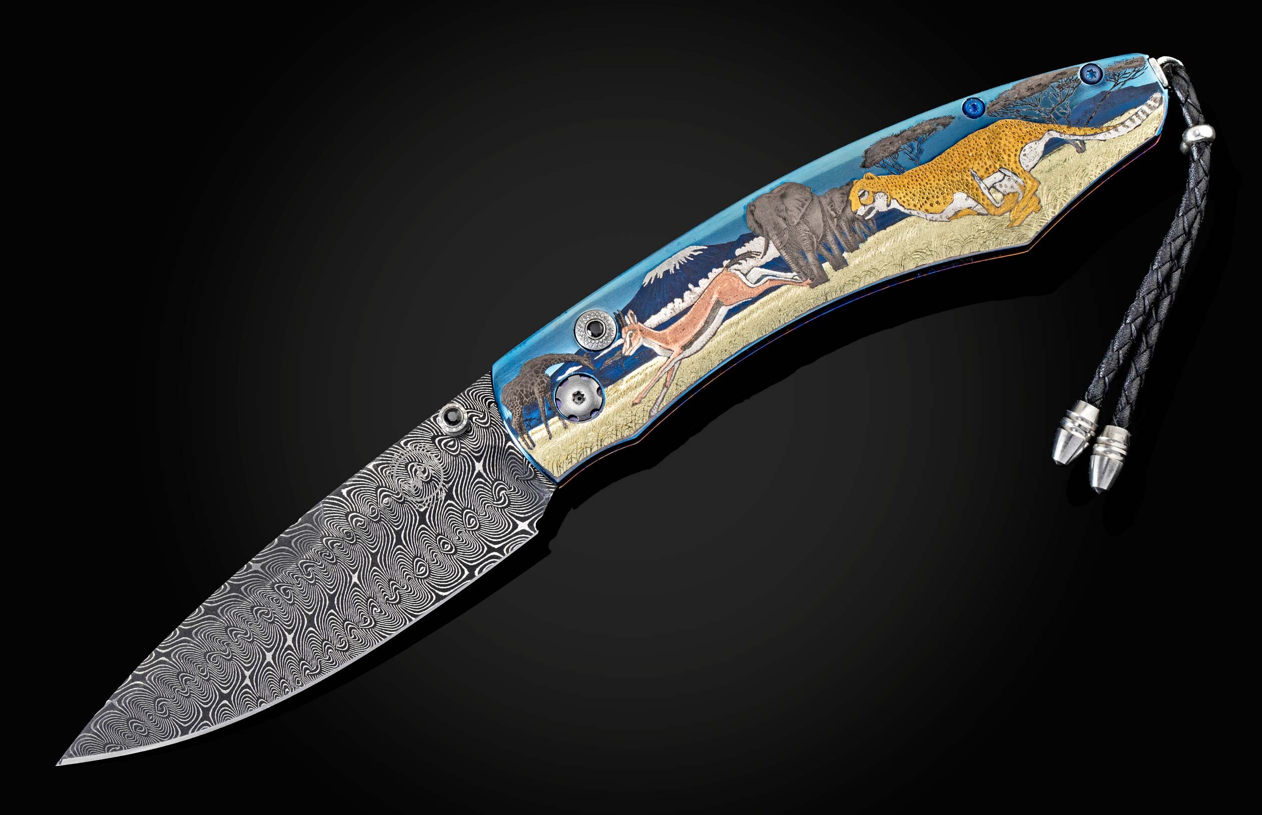 B12 African Safari - Image 2