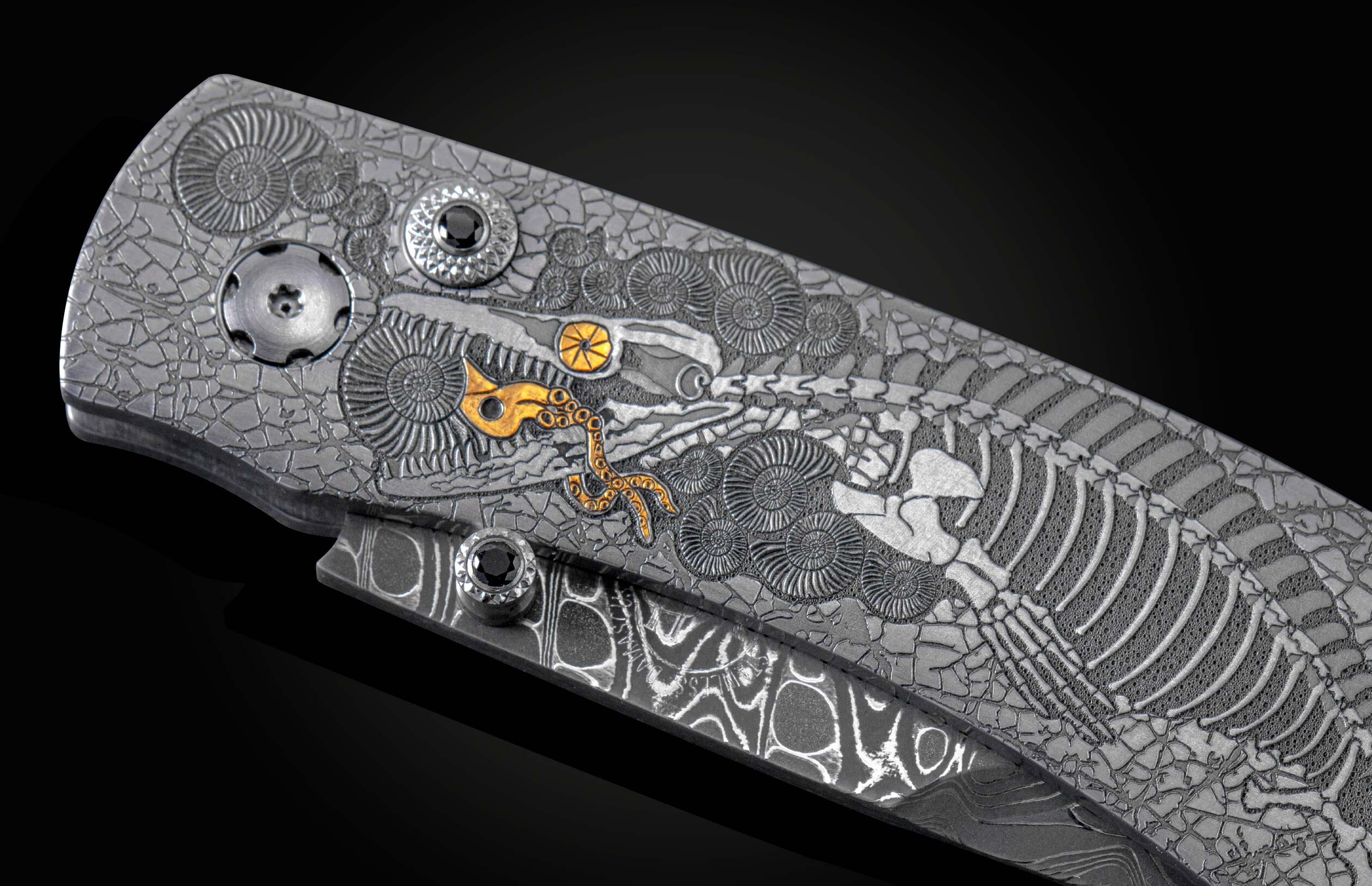 B12 Mosasaur - Image 5