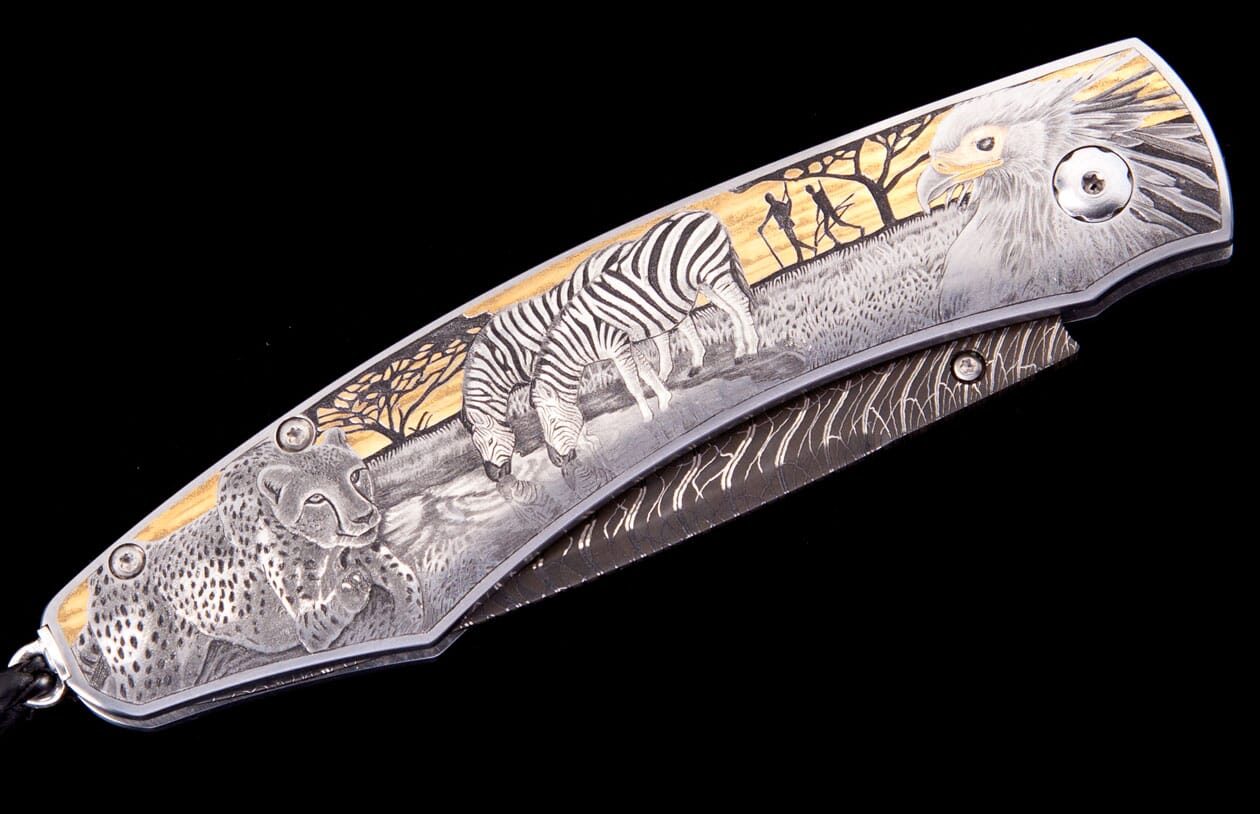 B12 Safari - Image 3