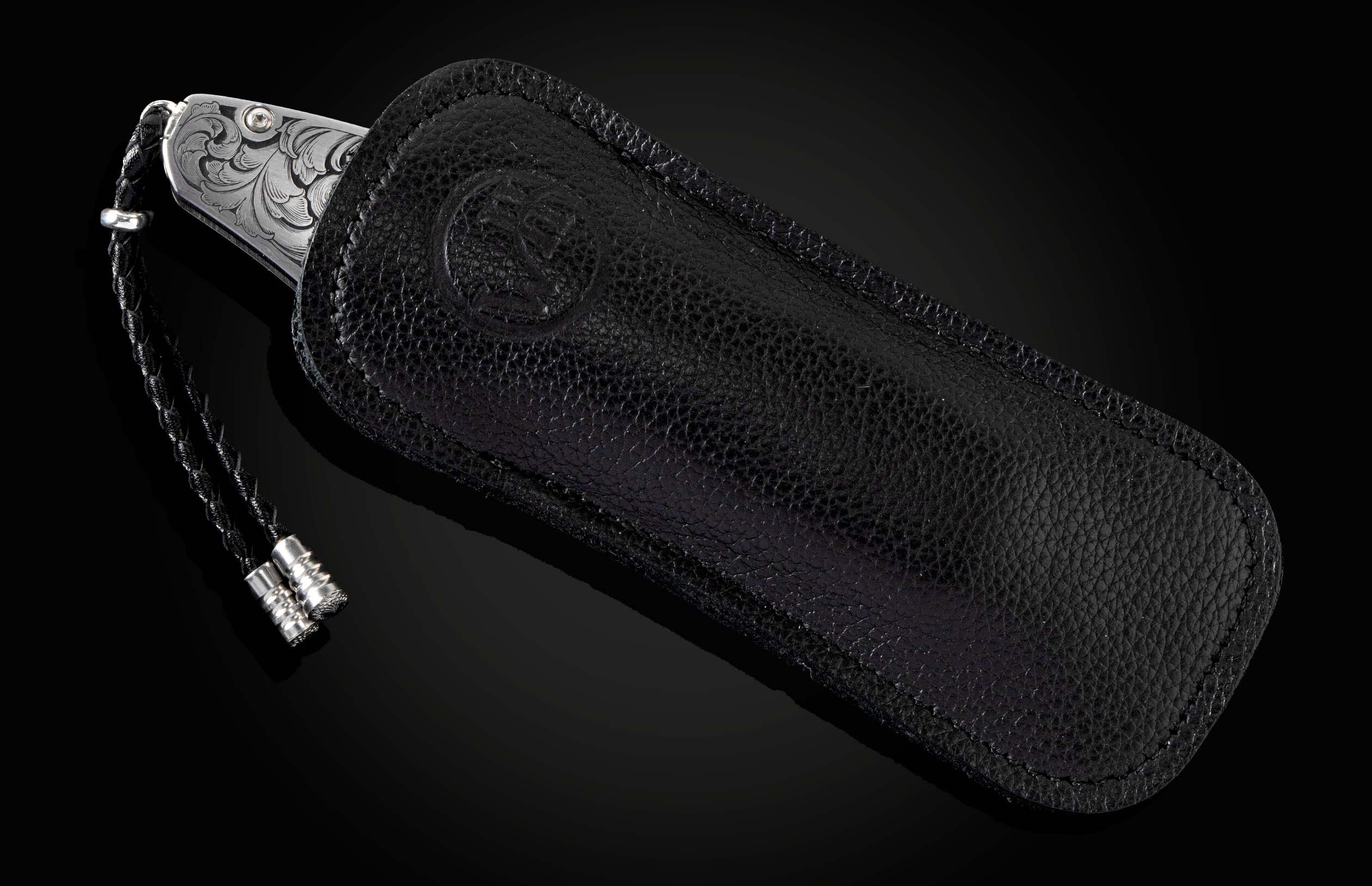 B12 Lion - Image 4