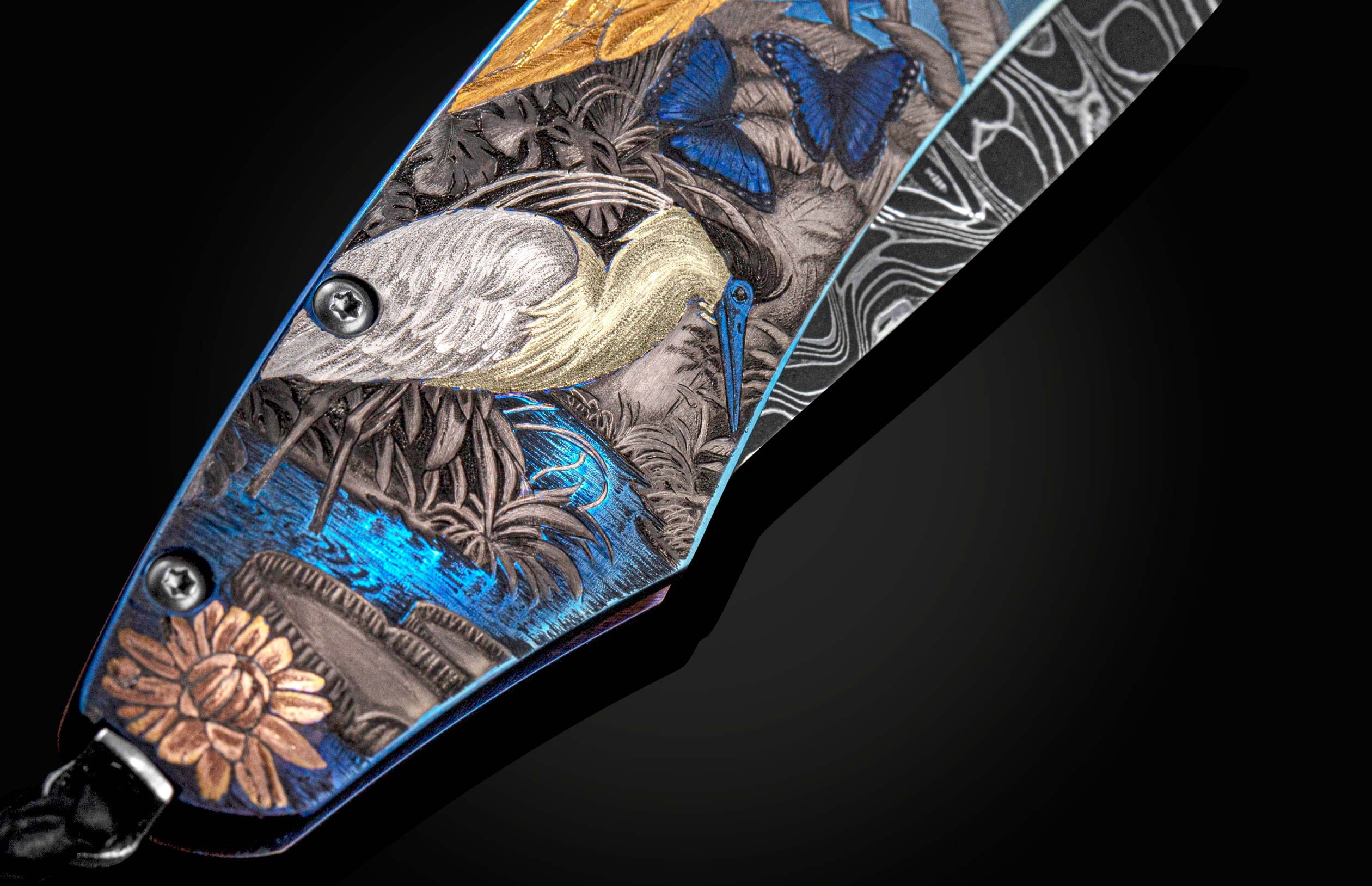 B12 Rainforest II - Image 4