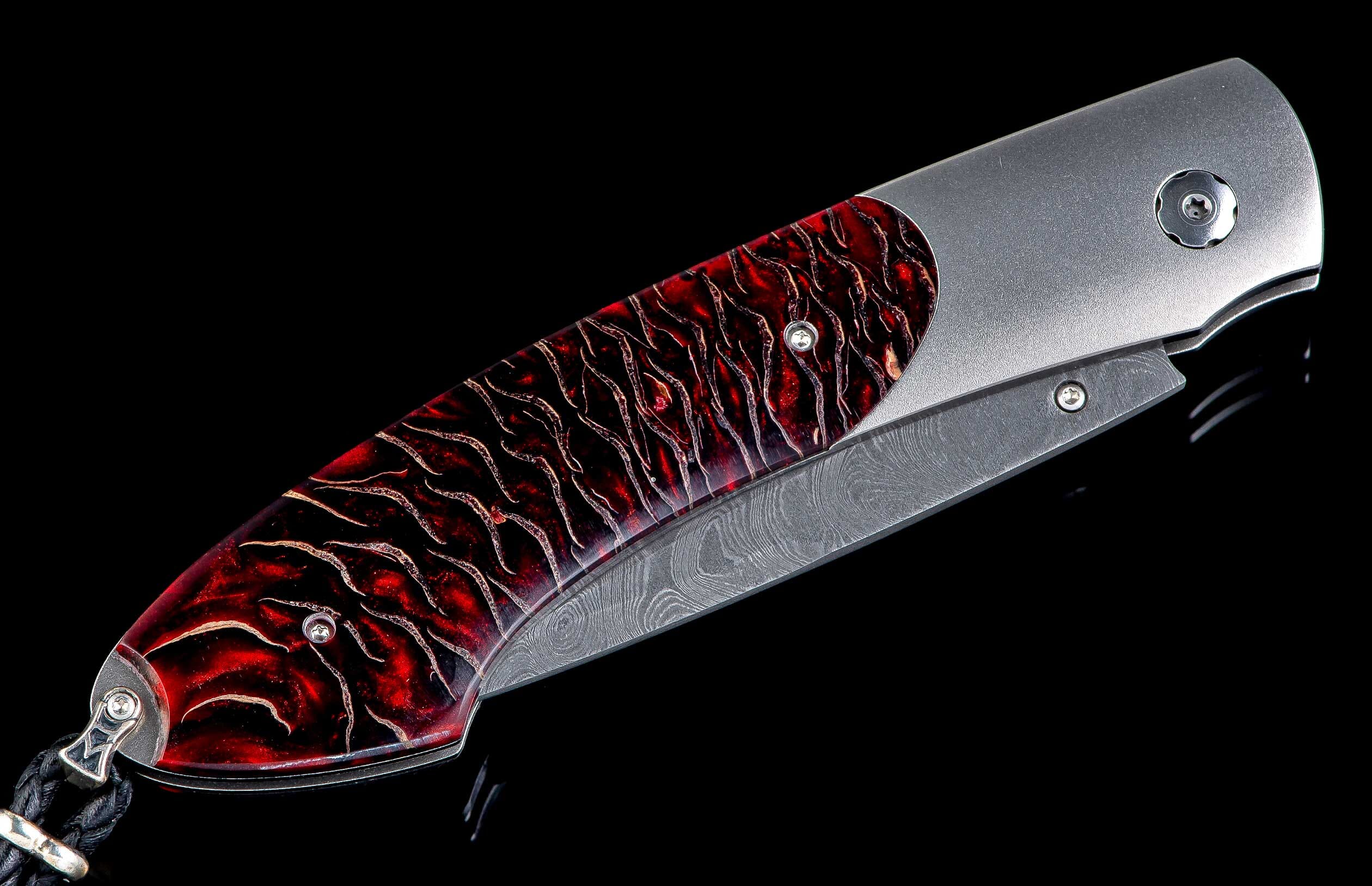 B12 Queensland - Image 3